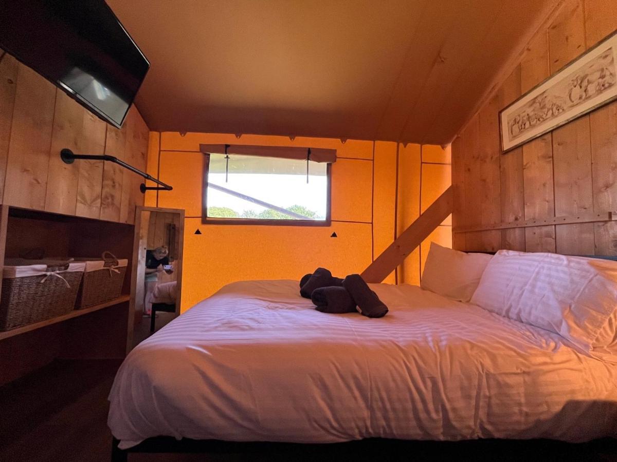 Aladdin Safari Tent Тенби Екстериор снимка